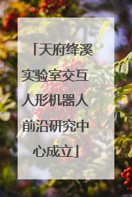 天府绛溪实验室交互人形机器人前沿研究中心成立