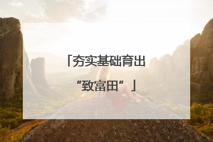 夯实基础育出“致富田”