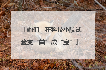 她们，在科技小院试验变“粪”成“宝”