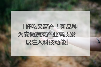 好吃又高产！新品种为安徽蔬菜产业高质发展注入科技动能