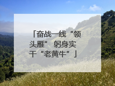 奋战一线“领头雁” 躬身实干“老黄牛”