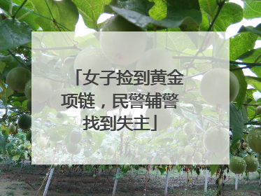 女子捡到黄金项链，民警辅警找到失主