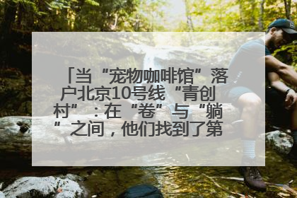当“宠物咖啡馆”落户北京10号线“青创村”：在“卷”与“躺”之间，他们找到了第三种生活公式