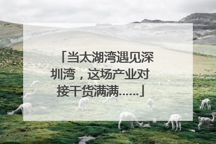 当太湖湾遇见深圳湾，这场产业对接干货满满……