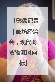 影像记录｜廊坊经洽会，现代商贸物流风向标