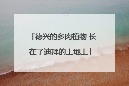 德兴的多肉植物 长在了迪拜的土地上