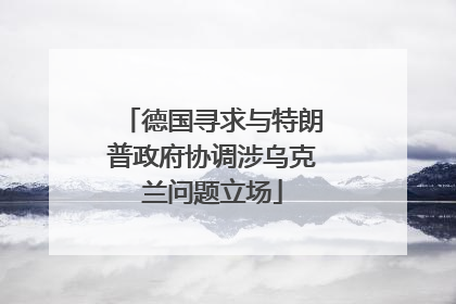 德国寻求与特朗普政府协调涉乌克兰问题立场