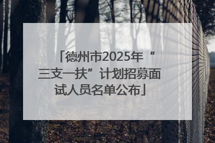 德州市2025年“三支一扶”计划招募面试人员名单公布