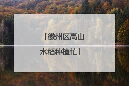 徽州区高山水稻种植忙