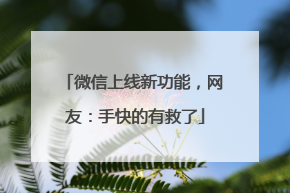 微信上线新功能，网友：手快的有救了