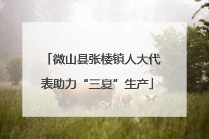 微山县张楼镇人大代表助力“三夏”生产