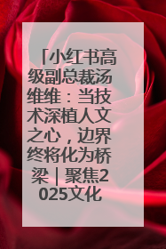 小红书高级副总裁汤维维：当技术深植人文之心，边界终将化为桥梁｜聚焦2025文化强国建设高峰论坛