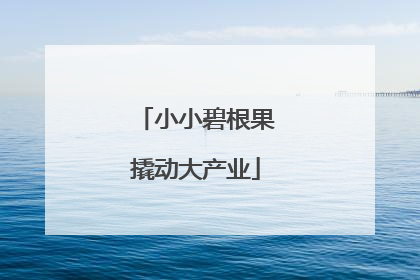 小小碧根果撬动大产业