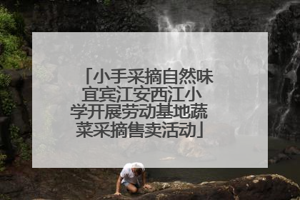 小手采摘自然味 宜宾江安西江小学开展劳动基地蔬菜采摘售卖活动