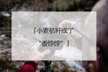 小麦秸秆成了“香饽饽”