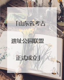 山东省考古遗址公园联盟正式成立