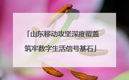 山东移动攻坚深度覆盖 筑牢数字生活信号基石