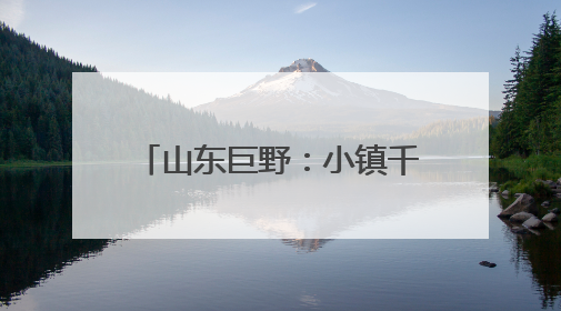 山东巨野：小镇千亩胡萝卜基地迎来“智慧大丰收”