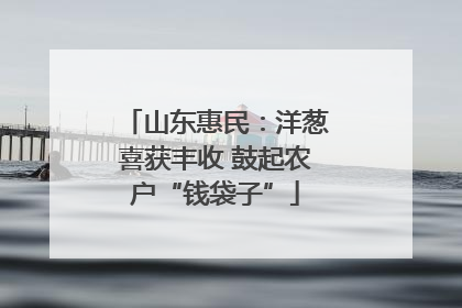 山东惠民：洋葱喜获丰收 鼓起农户“钱袋子”