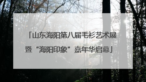 山东海阳第八届毛衫艺术展暨“海阳印象”嘉年华启幕