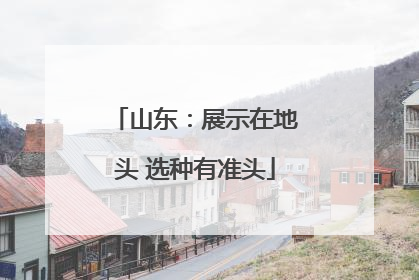 山东：展示在地头 选种有准头