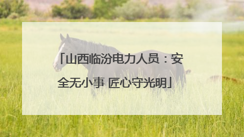 山西临汾电力人员：安全无小事 匠心守光明