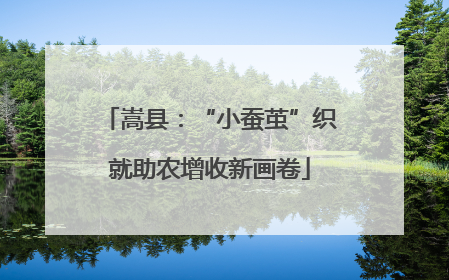 嵩县：“小蚕茧”织就助农增收新画卷