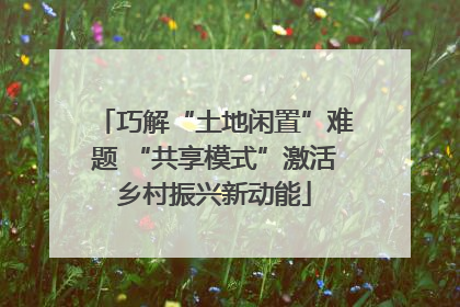 巧解“土地闲置”难题 “共享模式”激活乡村振兴新动能