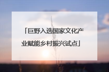 巨野入选国家文化产业赋能乡村振兴试点