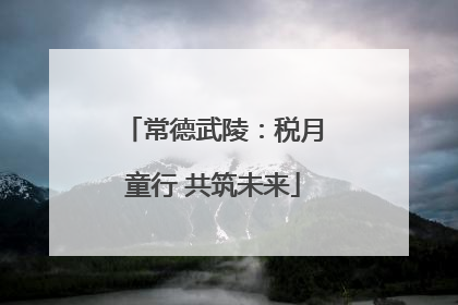 常德武陵：税月童行 共筑未来
