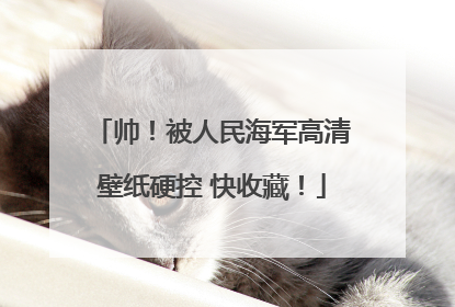 帅！被人民海军高清壁纸硬控 快收藏！
