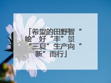 希望的田野智“绘”好“丰”景 “三夏”生产向“新”而行