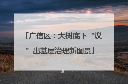 广信区：大树底下“议”出基层治理新图景