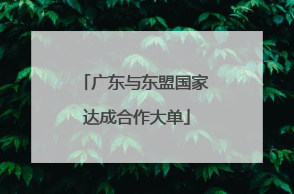 广东与东盟国家达成合作大单