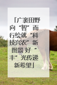 广袤田野向“智”而行绘就“科技兴农”新图景 好“丰”光传递新希望