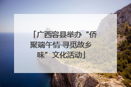 广西容县举办“侨聚端午情·寻觅故乡味”文化活动
