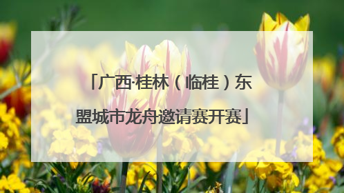 广西·桂林（临桂）东盟城市龙舟邀请赛开赛