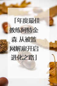 年度最佳教练阿特金森 从被篮网解雇开启进化之路