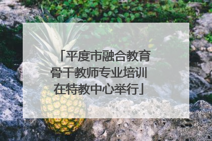 平度市融合教育骨干教师专业培训在特教中心举行