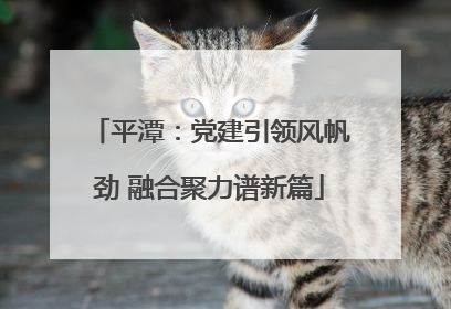 平潭：党建引领风帆劲 融合聚力谱新篇