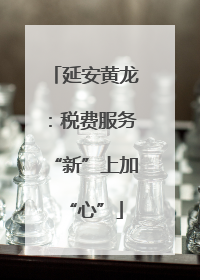 延安黄龙：税费服务“新”上加“心”