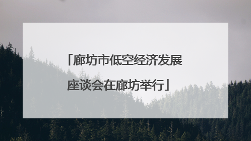 廊坊市低空经济发展座谈会在廊坊举行