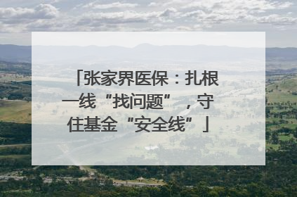 张家界医保：扎根一线“找问题”，守住基金“安全线”