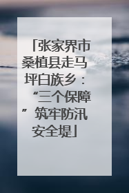 张家界市桑植县走马坪白族乡：“三个保障”筑牢防汛安全堤