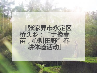 张家界市永定区桥头乡：“手挽春苗，心耕田野”春耕体验活动