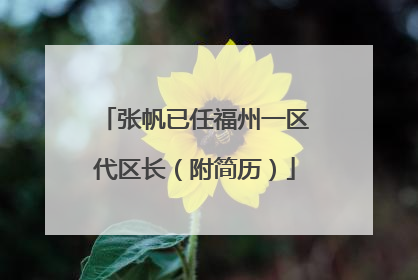 张帆已任福州一区代区长（附简历）