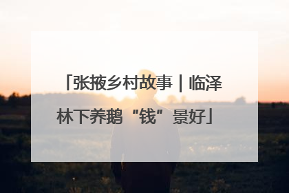 张掖乡村故事｜临泽林下养鹅“钱”景好