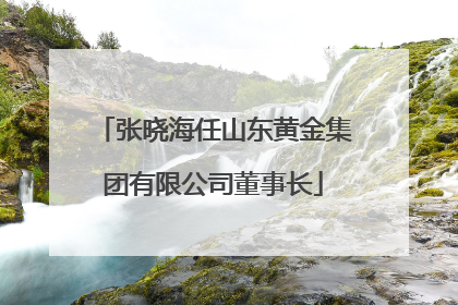 张晓海任山东黄金集团有限公司董事长