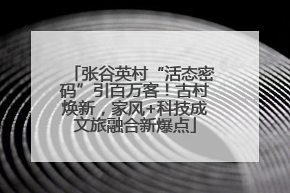 张谷英村“活态密码”引百万客！古村焕新，家风+科技成文旅融合新爆点
