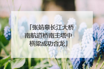 张靖皋长江大桥南航道桥南主塔中横梁成功合龙
